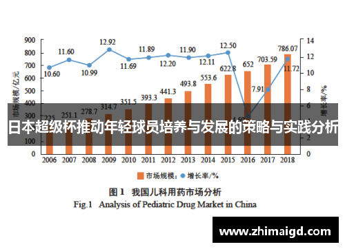 日本超级杯推动年轻球员培养与发展的策略与实践分析