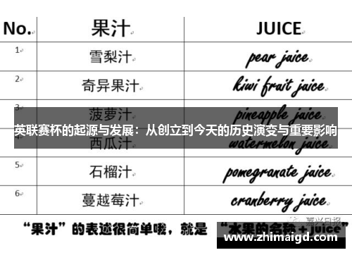 英联赛杯的起源与发展:从创立到今天的历史演变与重要影响 英联赛杯的起源与发展:从创立到今天的历史演变与重要影响